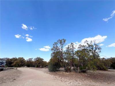 Terwilliger Road, Anza, California 92539