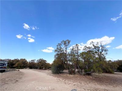 Terwilliger Road, Anza, California 92539