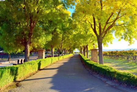 Balfour Rd, Brentwood, California 94513, Stati Uniti