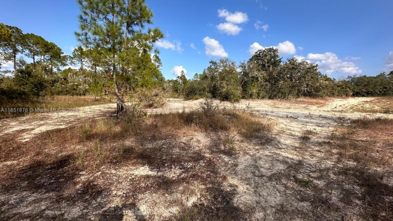 0 COLDROCK DR, Other City - In The State Of Florida, 佛罗里达州 33597, 美国