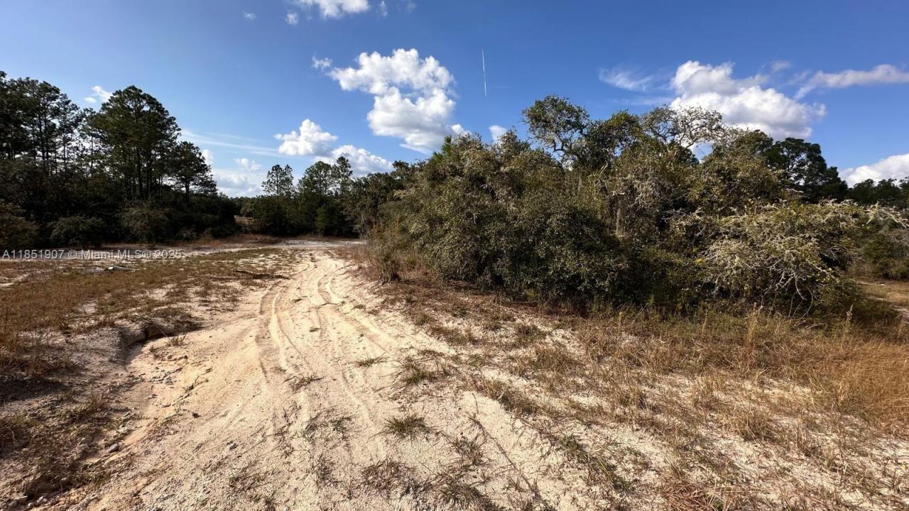 0 COLDROCK DR, Other City - In The State Of Florida, 佛罗里达州 33597, 美国