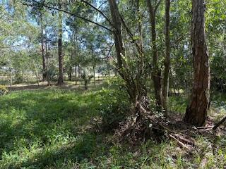 129th Avenue N, Royal Palm Beach, Florida 33411