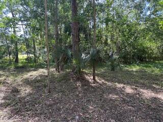 129th Avenue N, Royal Palm Beach, Florida 33411