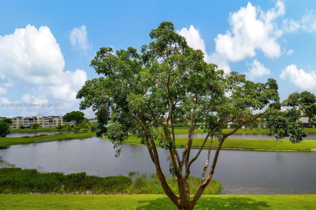 14575 Bonaire Blvd 308, Delray Beach, Florida 33446, USA