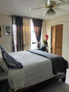 11780 SW 18th St 2, Miami, Florida 528-2, USA