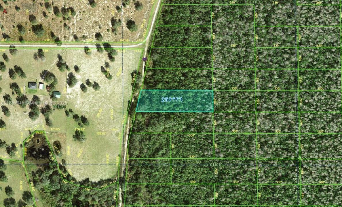 0 DEEN STILL RD E, Florida 33868, Stati Uniti