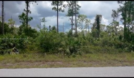 916 Monroe Ave, Lehigh Acres, Florida 33972, USA