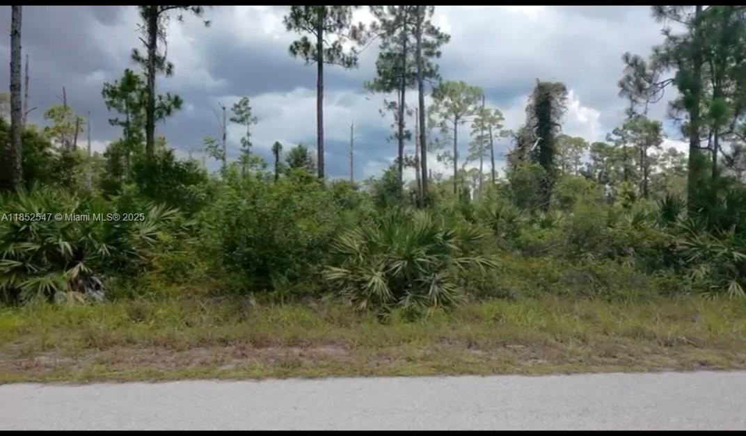 916 Monroe Ave, Lehigh Acres, 플로리다 33972, 미국