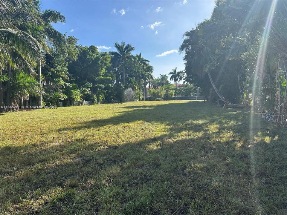 93 Palm Ave, Miami Beach, פלורידה 33139, ארצות הברית של אמריקה