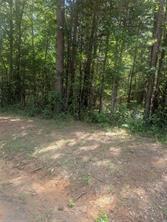 Yates Street, Hawkins, Texas 75765, Estados Unidos