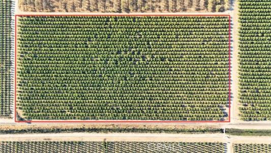 RD 18 & AVE 16, Madera, California 93637, Estados Unidos