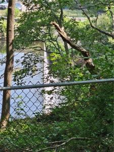 101 Maple Avenue, West Warwick, Rhode Island 02893, Stati Uniti