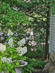 101 Maple Avenue, West Warwick, Rhode Island 02893, Stati Uniti