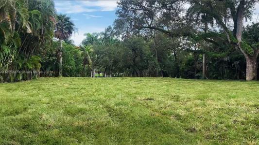 3231 Calusa St, Miami, פלורידה 33133, ארצות הברית של אמריקה 