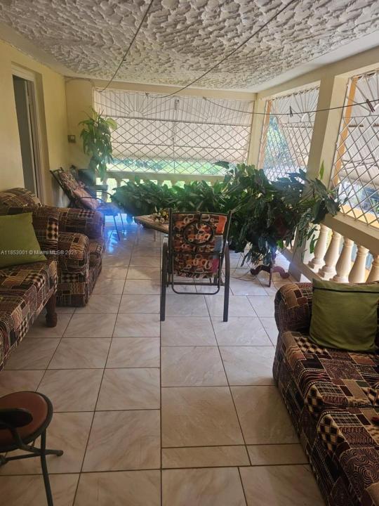 00 Mandeville, Manchester Hills Jamaica, فلوريدا, الولايات المتحدة