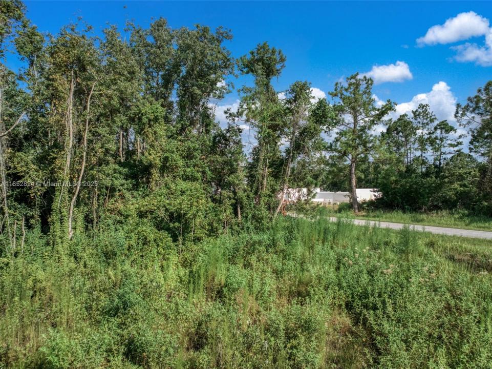7922 Bernal Drive, Sebring, Floryda 33872, USA