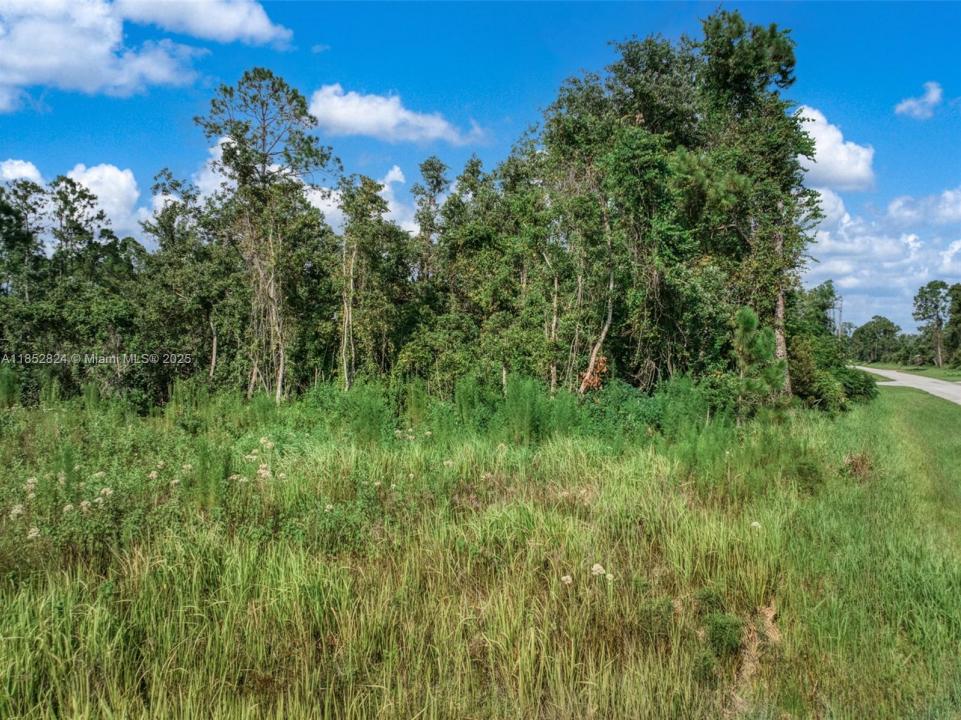 7922 Bernal Drive, Sebring, Floryda 33872, USA