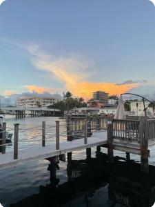 8401 Crespi Blvd 3, Miami Beach, Florida 33141, USA
