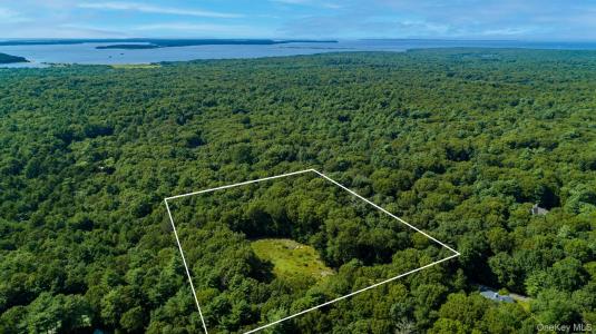1593 Deerfield Road, Southampton, Nova Iorque 11976, Estados Unidos