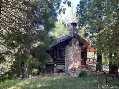Sycamore, Lake Arrowhead, Kalifornia 92385, USA
