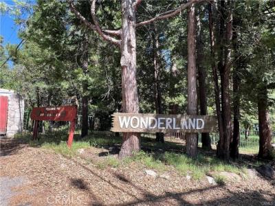 Sycamore, Lake Arrowhead, California 92385