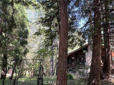 Sycamore, Lake Arrowhead, California 92385