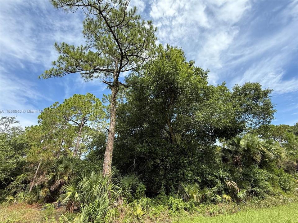 250 S ROMERO ST, Clewiston, פלורידה 33440, ארצות הברית של אמריקה