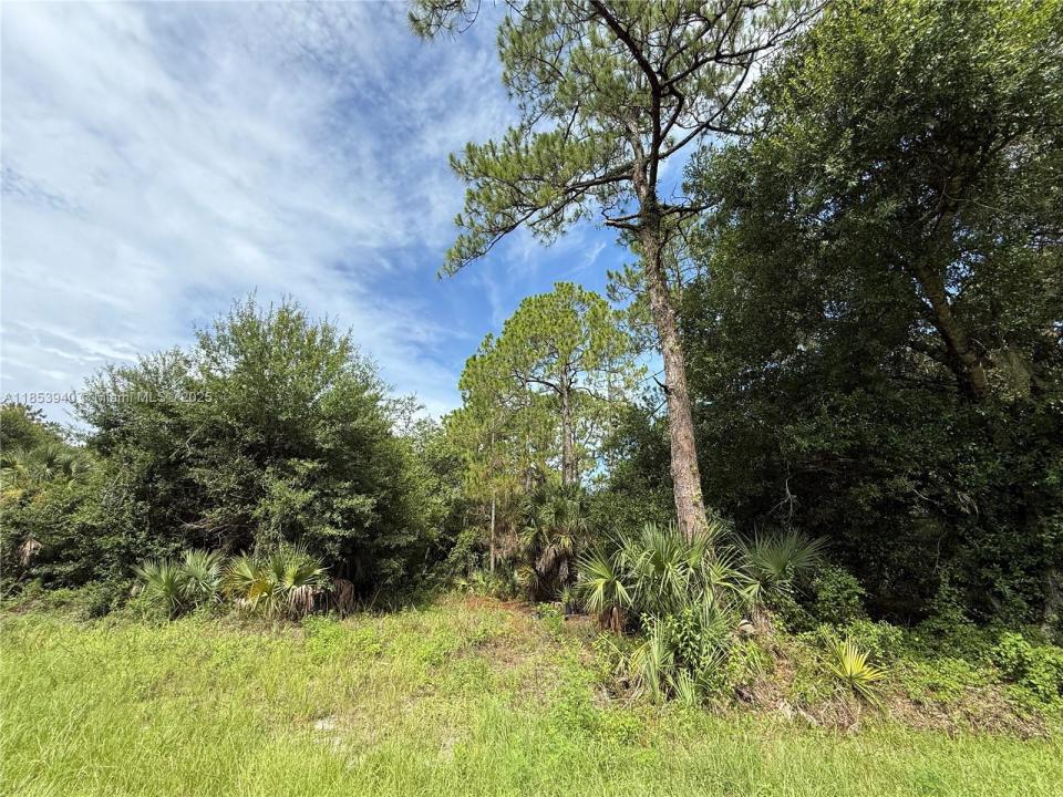 250 S ROMERO ST, Clewiston, פלורידה 33440, ארצות הברית של אמריקה