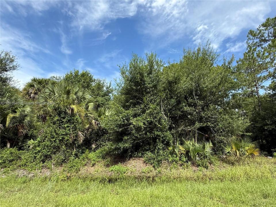 250 S ROMERO ST, Clewiston, פלורידה 33440, ארצות הברית של אמריקה