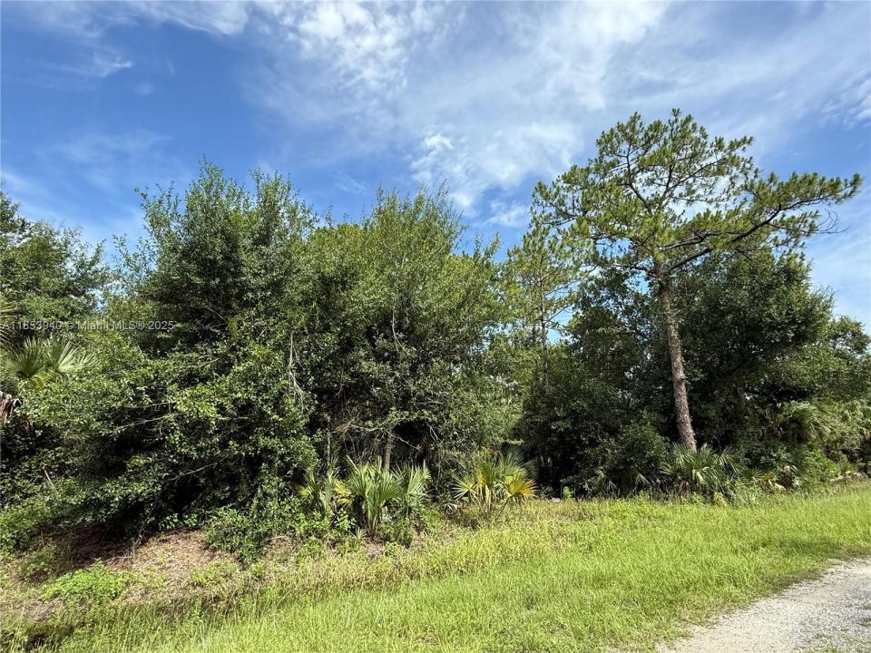 250 S ROMERO ST, Clewiston, פלורידה 33440, ארצות הברית של אמריקה