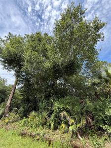 250 S ROMERO ST, Clewiston, Florida 33440, USA