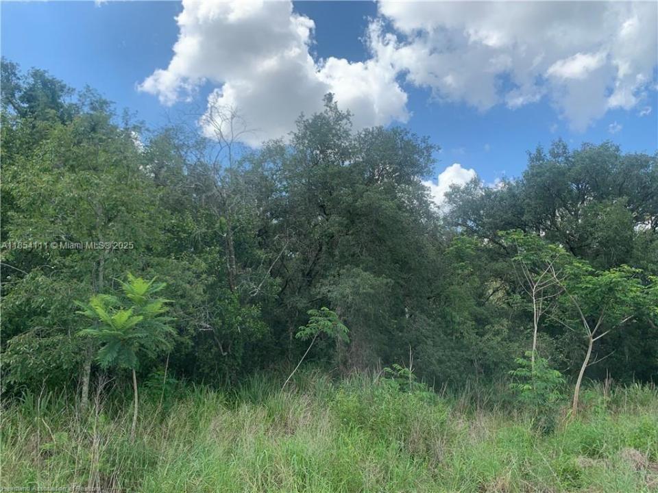 2279 N Lanier Boulevard, Avon Park, Flórida 33825, Estados Unidos