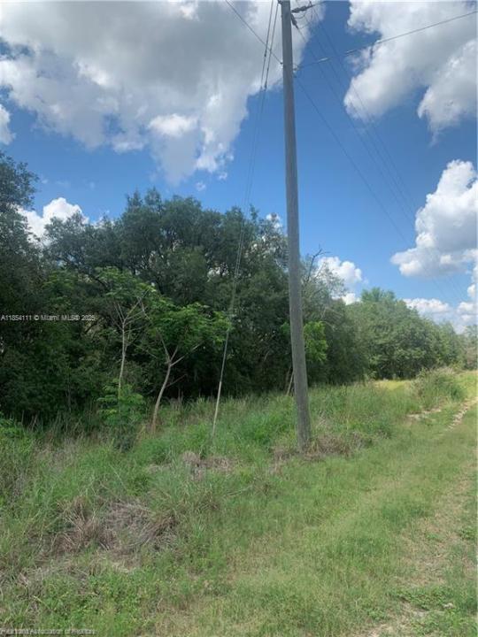 2279 N Lanier Boulevard, Avon Park, Flórida 33825, Estados Unidos