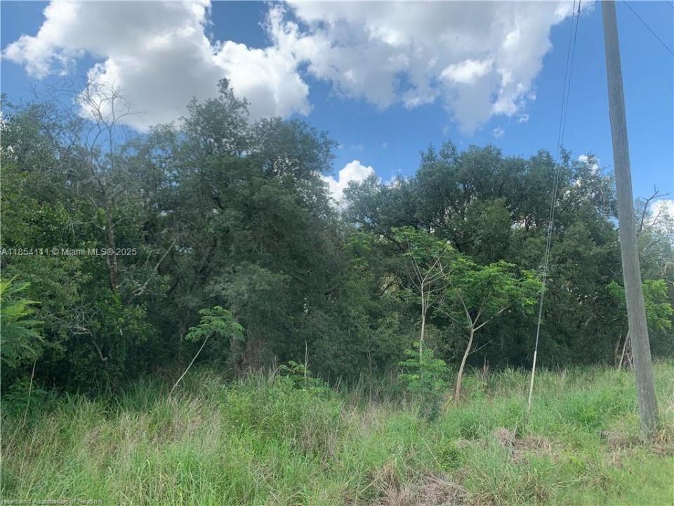 2279 N Lanier Boulevard, Avon Park, Flórida 33825, Estados Unidos