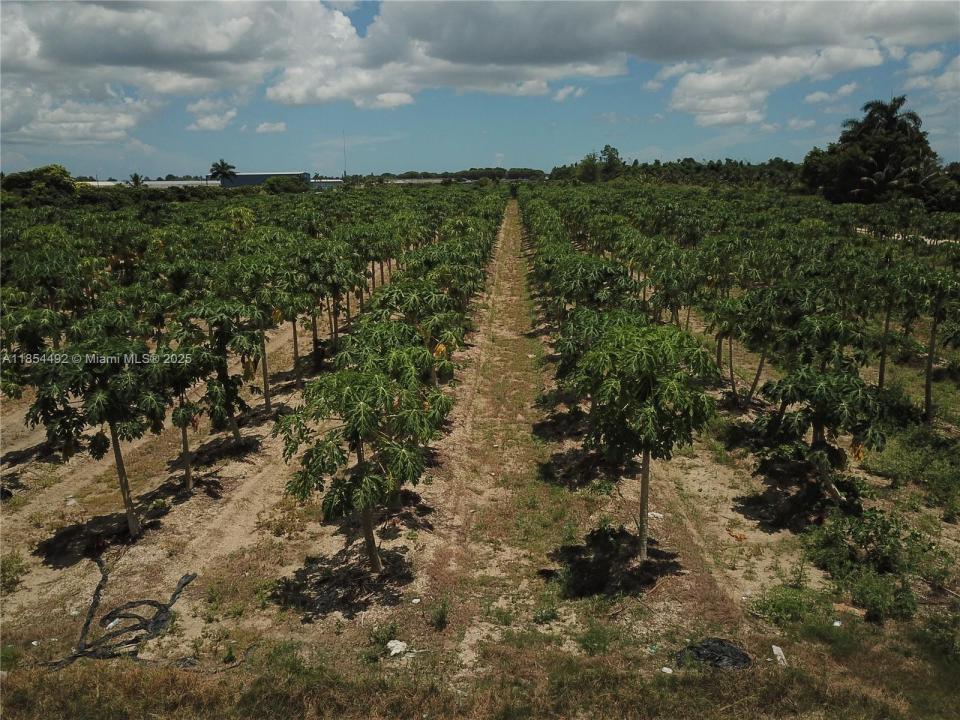 222 st SW 260 st, Homestead, Florida 33031, USA