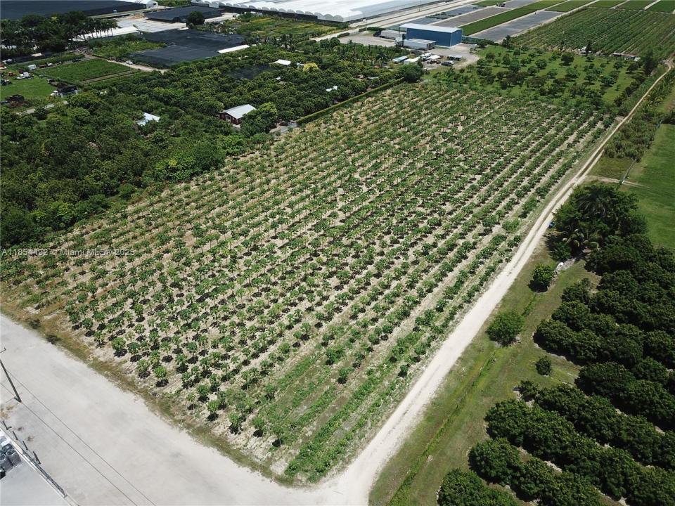 222 st SW 260 st, Homestead, Florida 33031, USA
