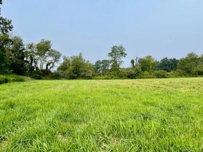 Bangall Road, Washington, New York 12545, États-Unis