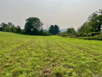Bangall Road, Washington, New York 12545, États-Unis
