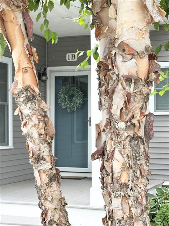 1 Desiree Court B, Smithfield, Rhode Island 02917, Stati Uniti