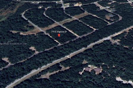 775 E ELGROVE DR, Citrus Springs, Floryda 34434, USA