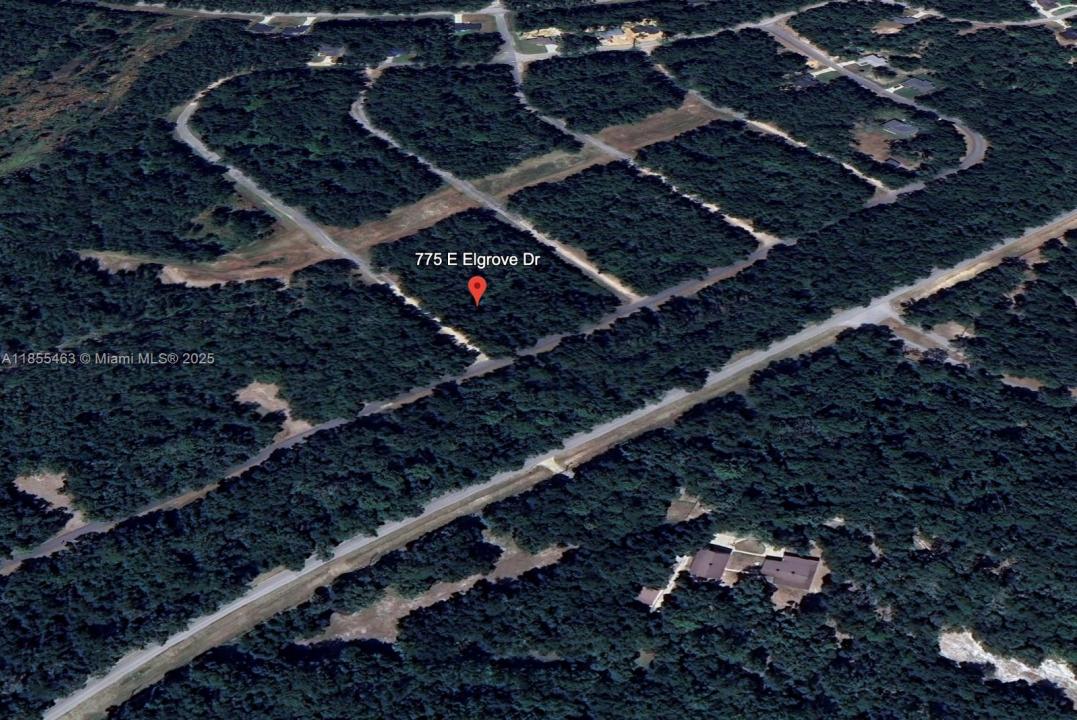 775 E ELGROVE DR, Citrus Springs, Florida 34434, Amerika Birleşik Devletleri