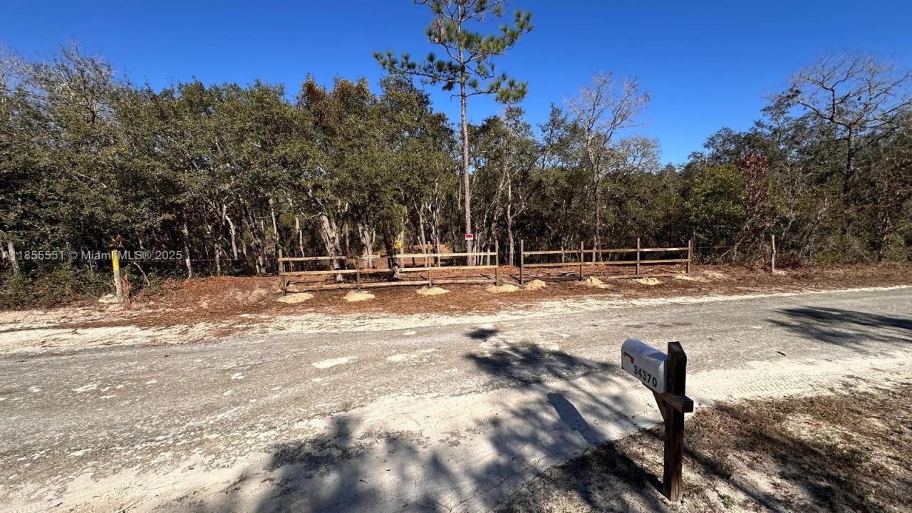 34349 Manuel St, Other City - In The State Of Florida, 佛罗里达州 33597, 美国