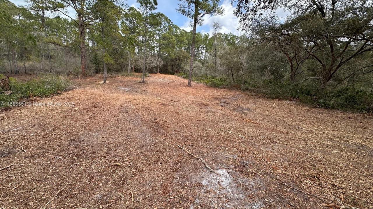 34349 Manuel St, Other City - In The State Of Florida, 佛罗里达州 33597, 美国