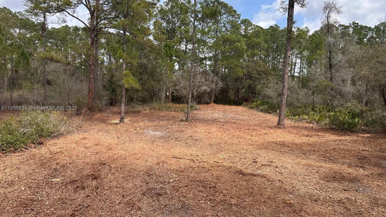 34349 Manuel St, Other City - In The State Of Florida, 佛罗里达州 33597, 美国