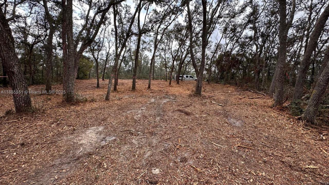 34349 Manuel St, Other City - In The State Of Florida, 佛罗里达州 33597, 美国