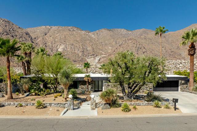 N Rose Avenue, Palm Springs, 加州 92262, 美國