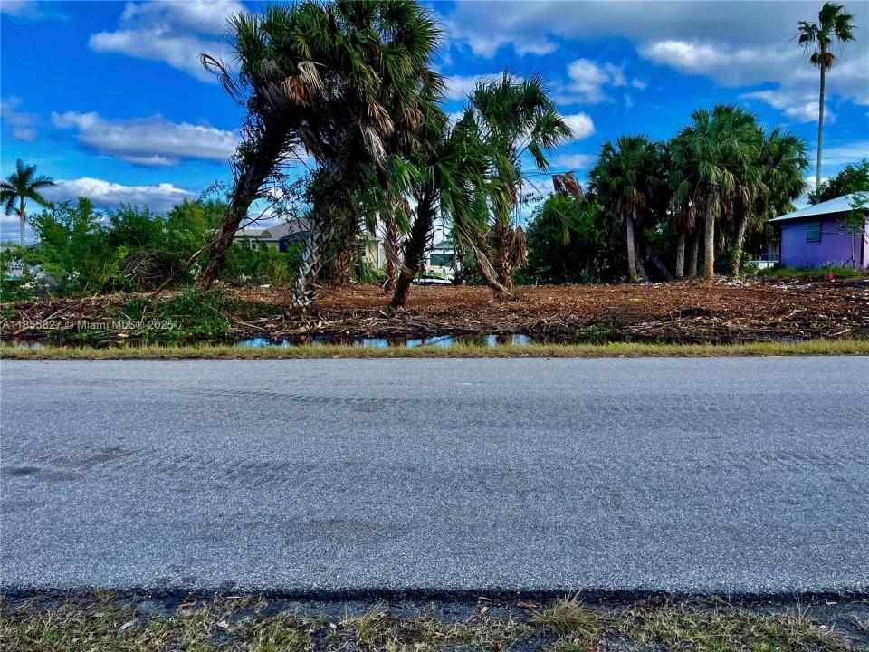 4114 PALM DR, Punta Gorda, 佛羅里達州 33950, 美國