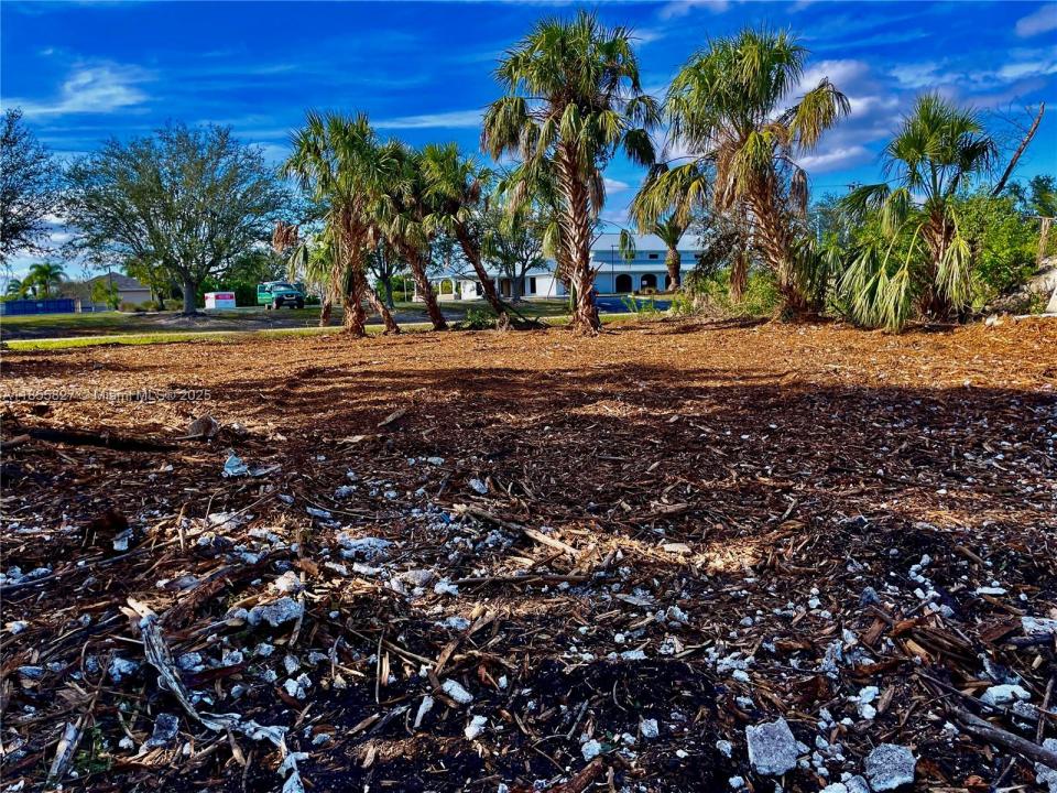 4114 PALM DR, Punta Gorda, 佛羅里達州 33950, 美國
