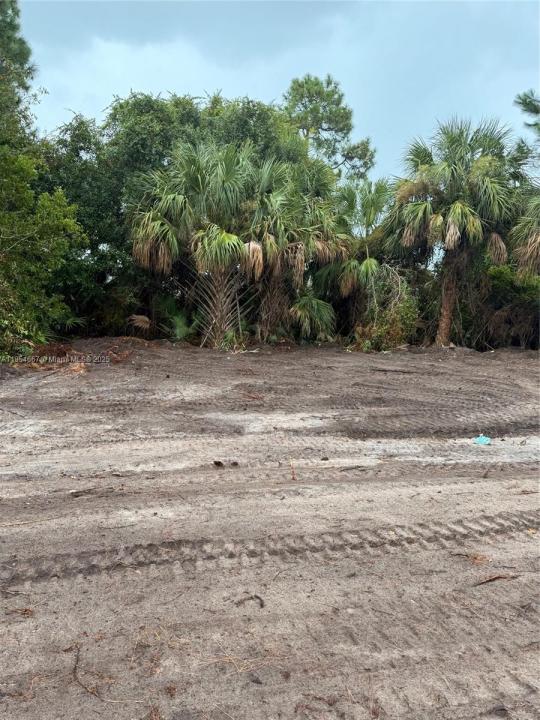 3965 SW Helmlinger St, Port St. Lucie, 佛罗里达州 34953, 美国