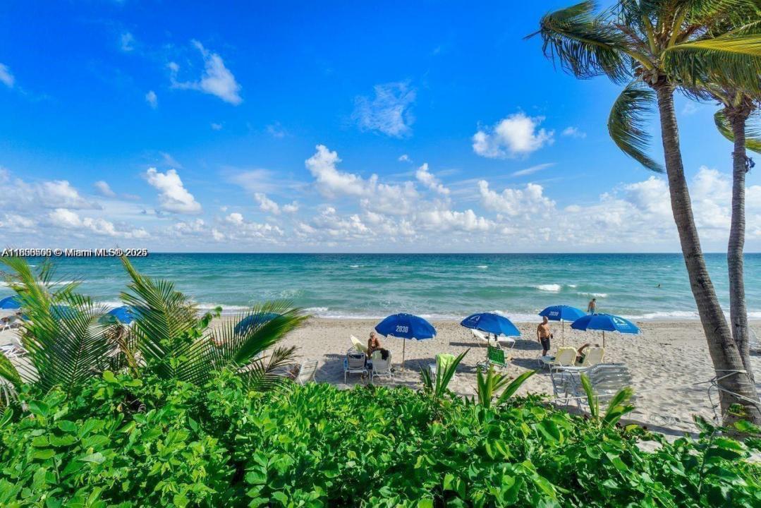 2030 S Ocean Dr 516, Hallandale Beach, Florida 33009, Amerika Birleşik Devletleri